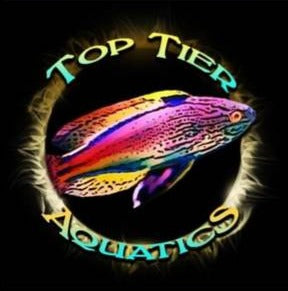 Top Tier Aquatics