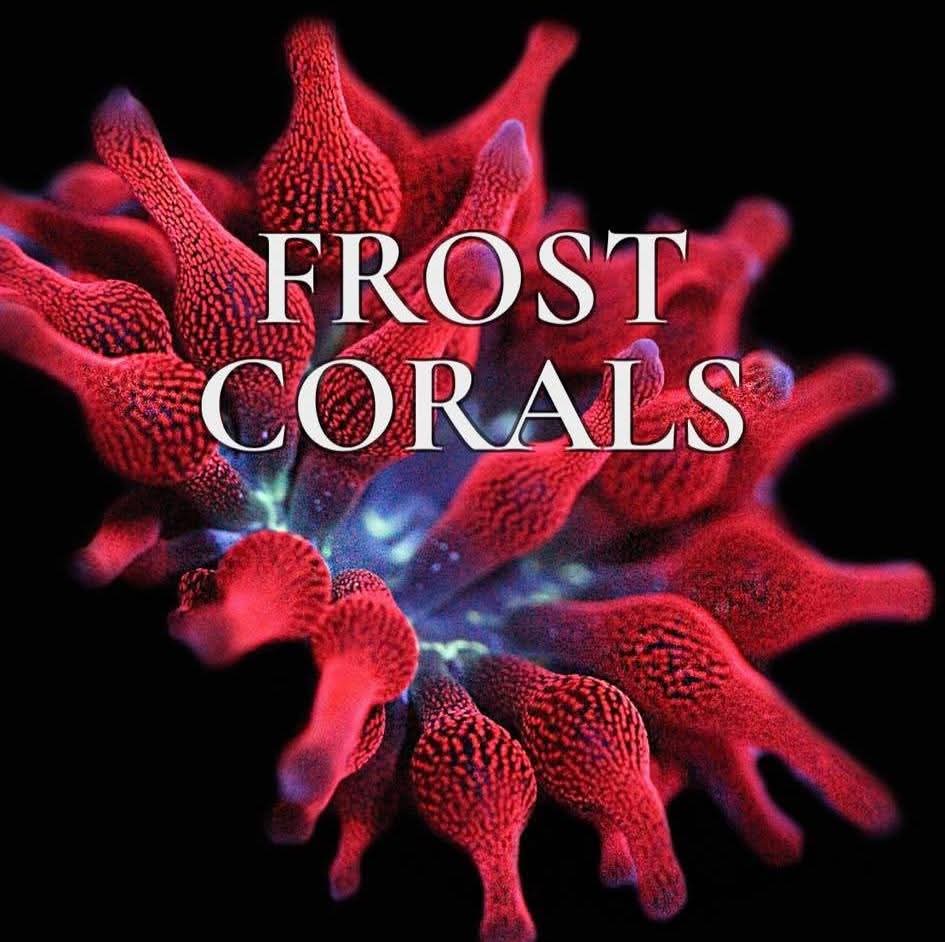 Frost Corals