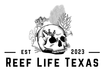 Reef Life Texas