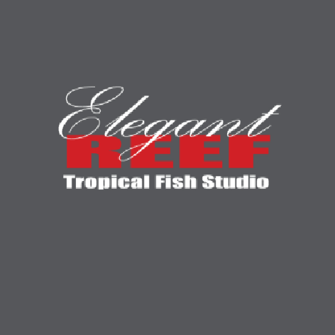 Elegant Reef